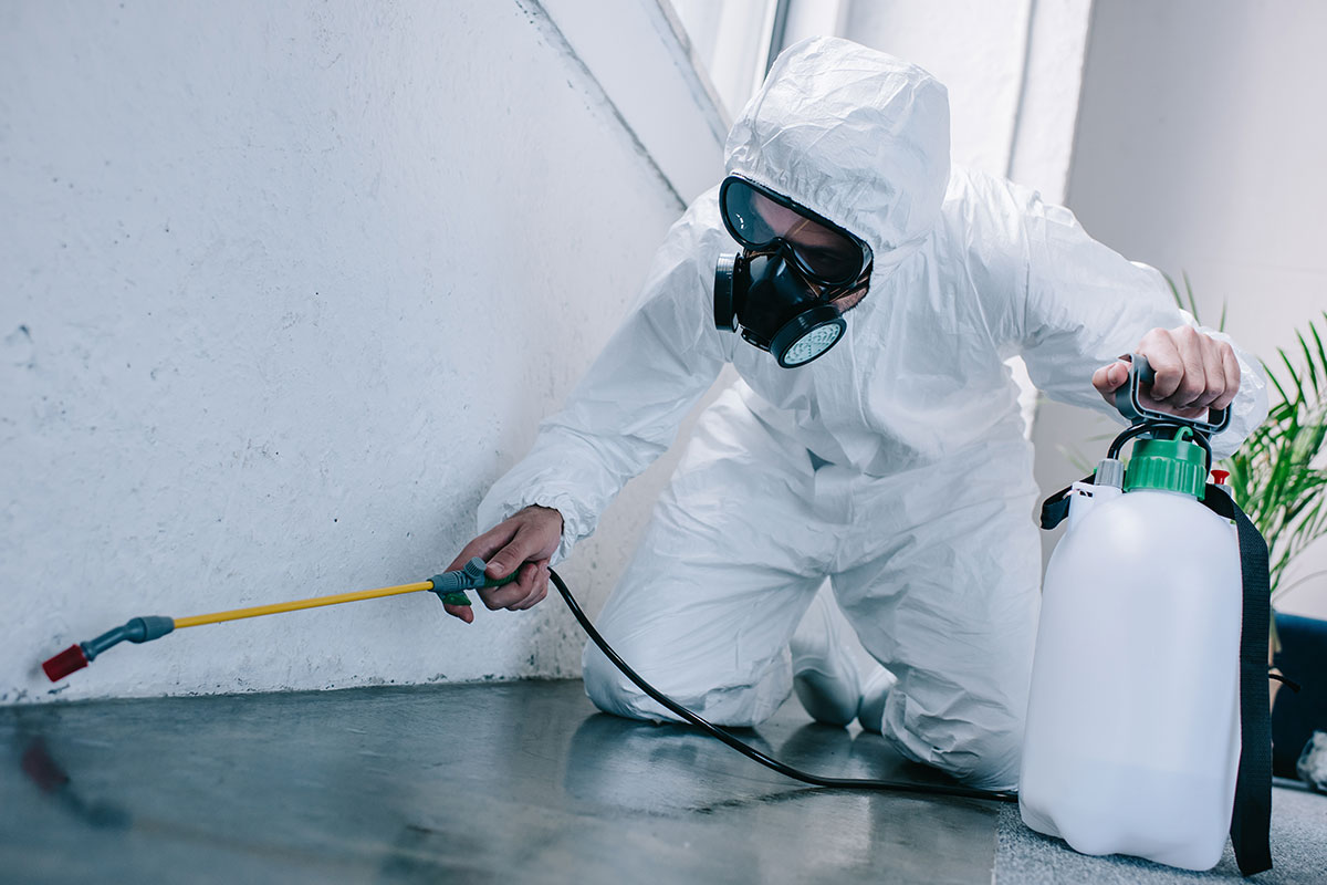 Residential and Commercial Pest Control Services: Tailored Solutions for Every Client