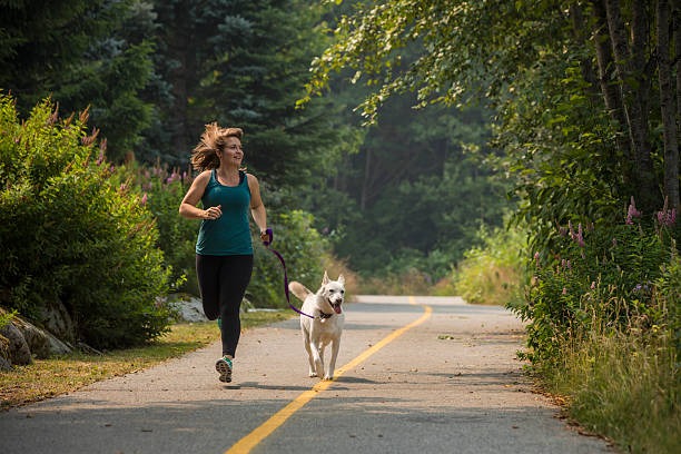 The Silent Killer of Road Trips: Your Car Battery