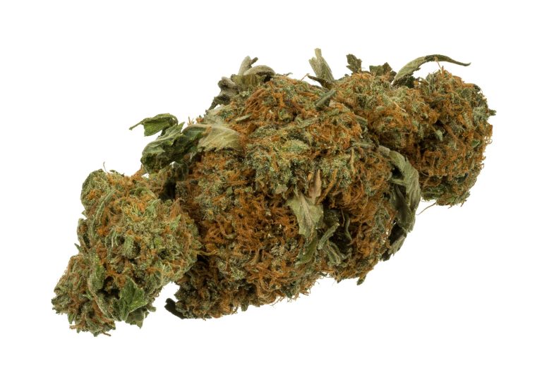 Why top thca flower Is the Preferred Choice for Hemp Lovers