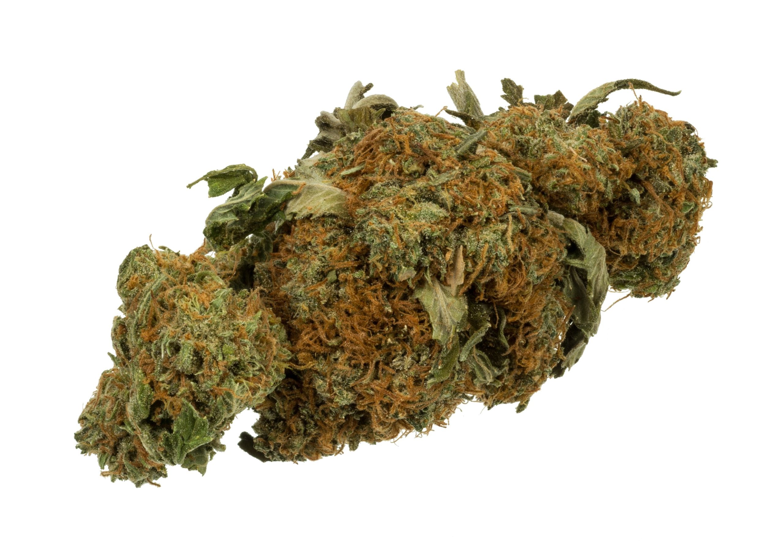 Why top thca flower Is the Preferred Choice for Hemp Lovers