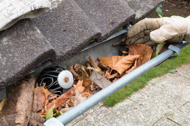 Trusted Vacuum Gutter Cleaning in Melbourne for Safe, Clean Gutters